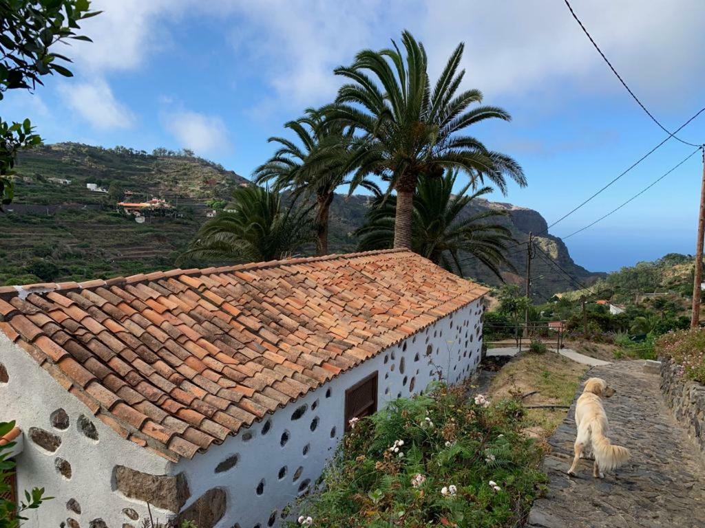 Agulo Casa Rural Emiliaヴィラ エクステリア 写真